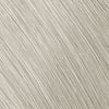 Topchic Zero Ammonia Free Hair Color 10SB Extra Light Silver Blonde