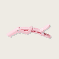 Small Jaw Clips 4 Pack