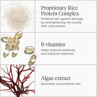 Don't Despair Repair Mega Strength+ Rice Water Protein + Moisture Strengthening Treatment