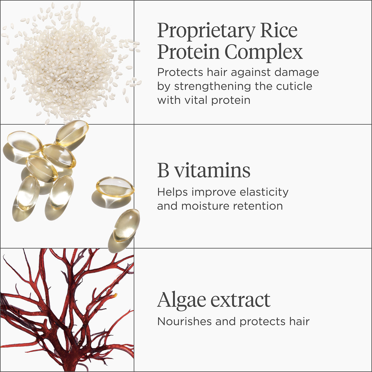 Don't Despair Repair Mega Strength+ Rice Water Protein + Moisture Strengthening Treatment