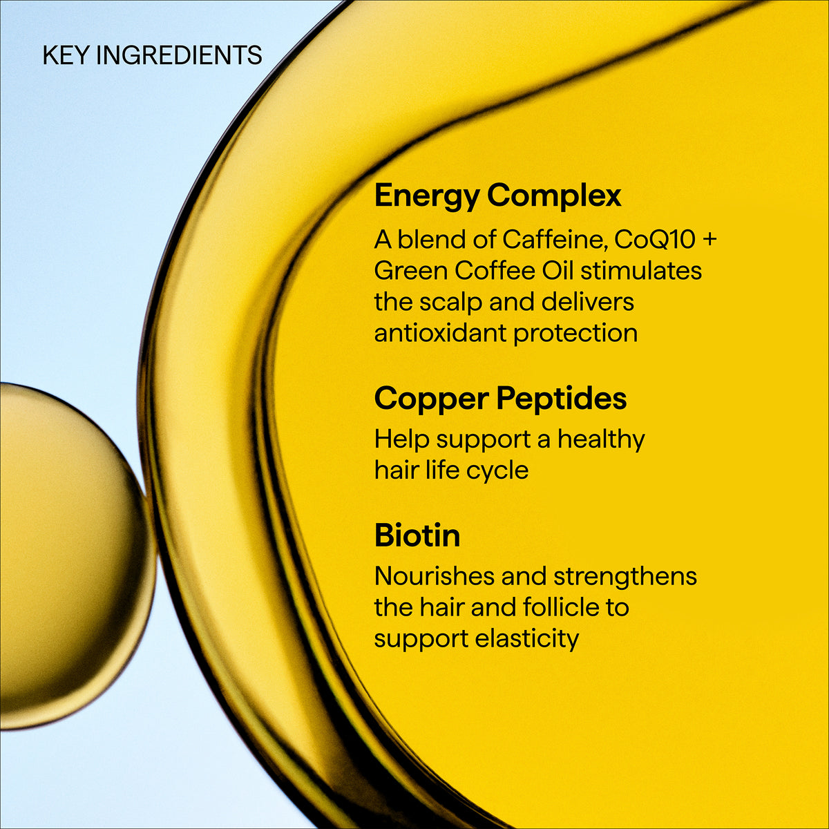 Destined For Density Caffeine + Biotin Peptide Density Shampoo