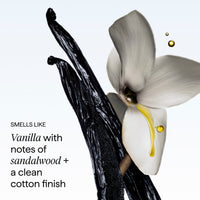 Destined For Density Caffeine + Biotin Peptide Density Shampoo