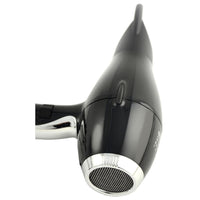 3900 Healthy Ionic Hair Dryer, Black & Silver