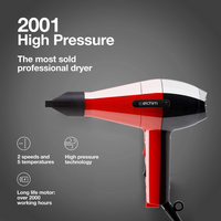 2001 Professional hairdryer