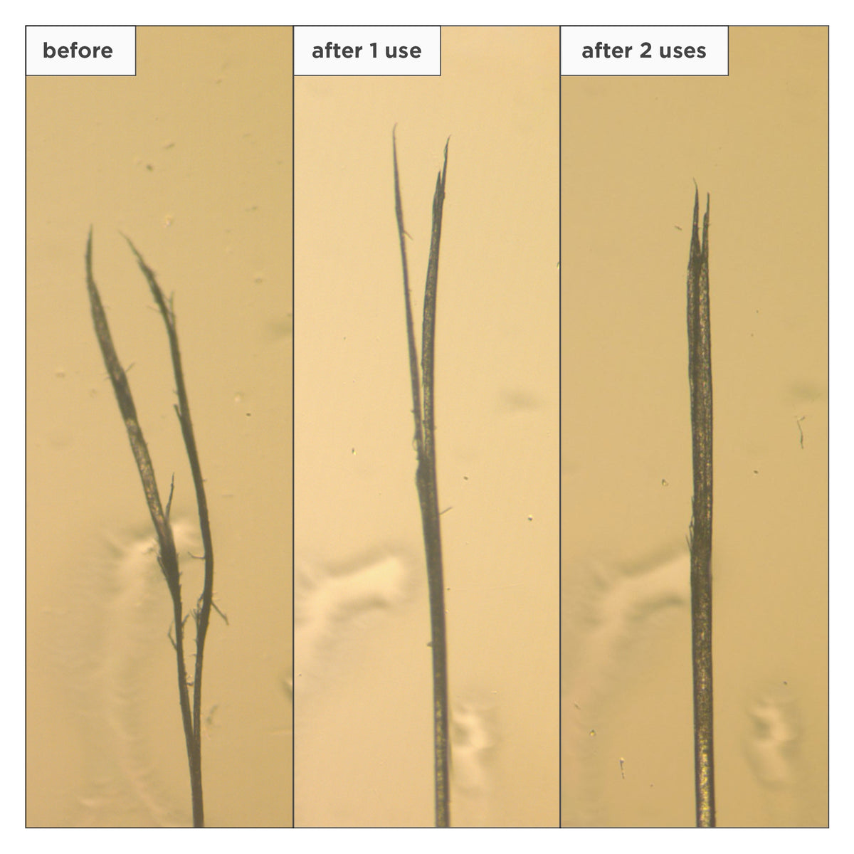 Don't Despair Repair Moisture + Damage Defense Leave In Treatment