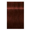 Igora Royal Absolutes Permanent Color 5.80