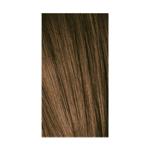 Igora Color10 Permanent Hair Coloring 6.00