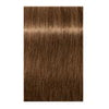 Igora Royal Absolutes Permanent Hair Color 7.50