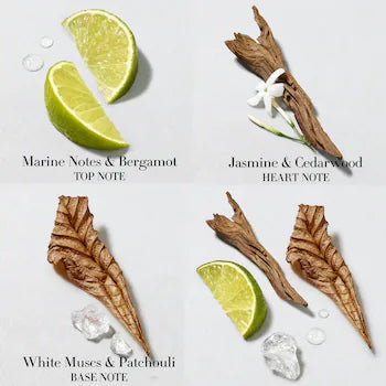 Acqua Di Gio After Shave Lotion