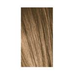 Igora Color10 Permanent Hair Coloring 8.00