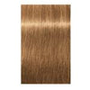 Igora Royal Absolutes Permanent Hair Color 8.50