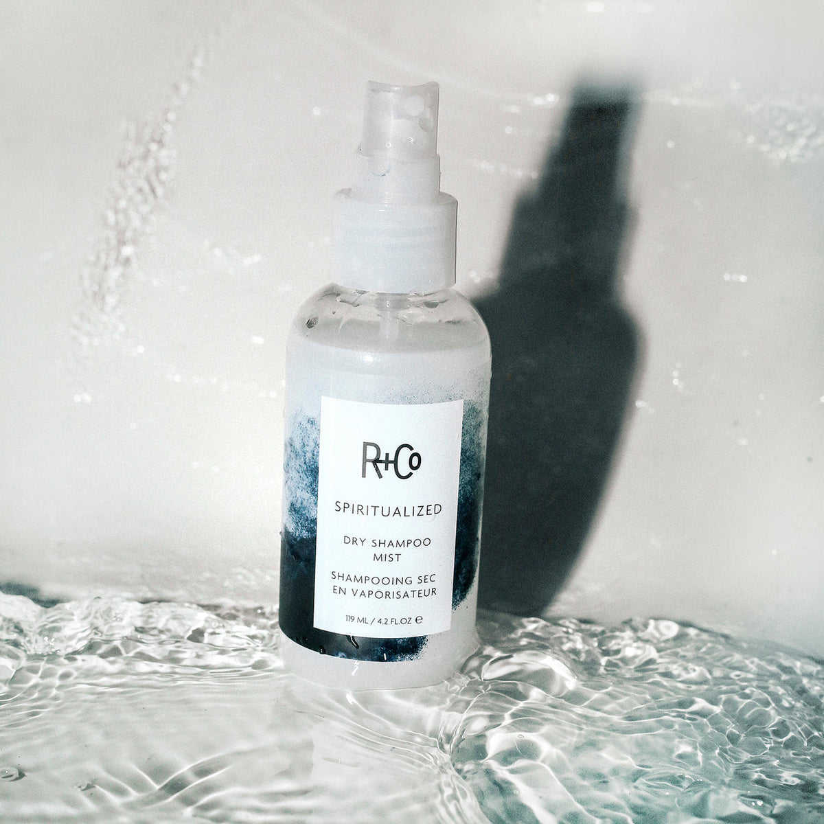 Spiritualized Dry Shampoo Mist