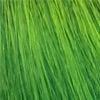 Crazy Hair Direct Color Gel-Green