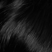 Classic Collection Permanent Hair Color 2.0N