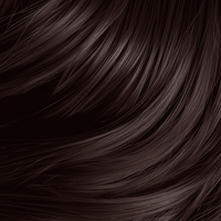 Classic Collection Permanent Hair Color 4.56 BR