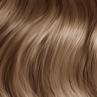 Classic Collection Permanent Hair Color 8.3G