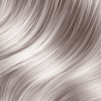 Blonde Collection Permanent Hair Color Blonde V