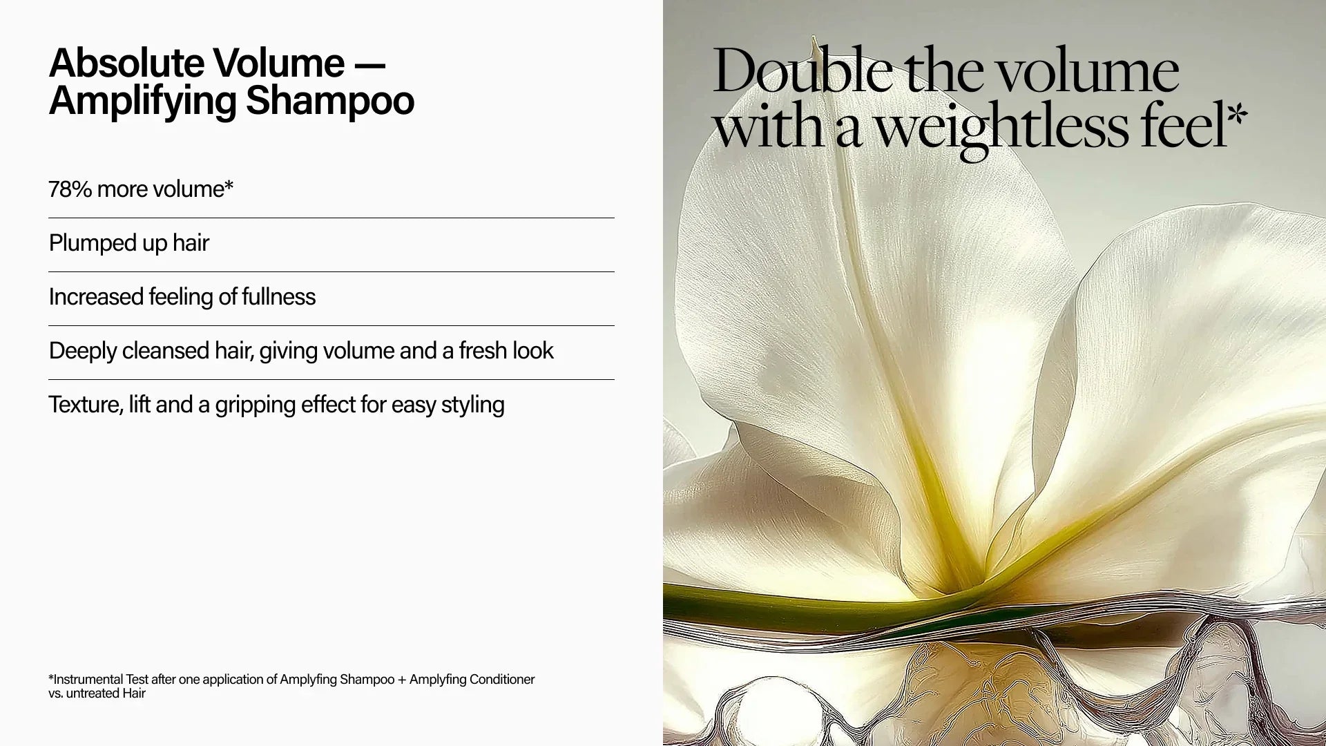 Absolute Volume Shampoo