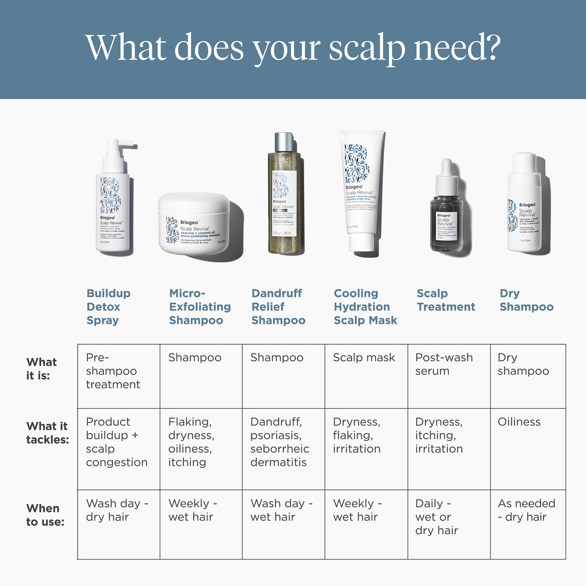 Scalp Revival Charcoal + Biotin Dry Shampoo