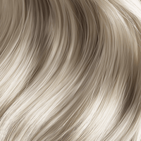 Classic Collection Permanent Hair Colour 10.13AG