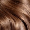 Sheer Collection Demi Permanent Hair Color 8.43CG