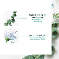 Astera Head Spa Soothing Concentrate Freshness & Purity Essential Oils