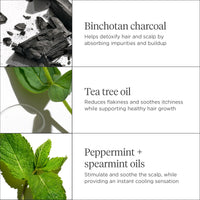 Scalp Revival Charcoal + Tea Tree Scalp Treatment