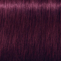 Igora Vibrance Tone on Tone Coloration 6.99 Dark Blonde Violet Extra