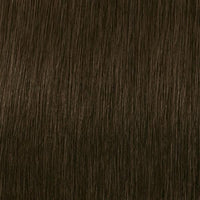 Igora 6-31 Zero Ammonia Permanent Hair Color