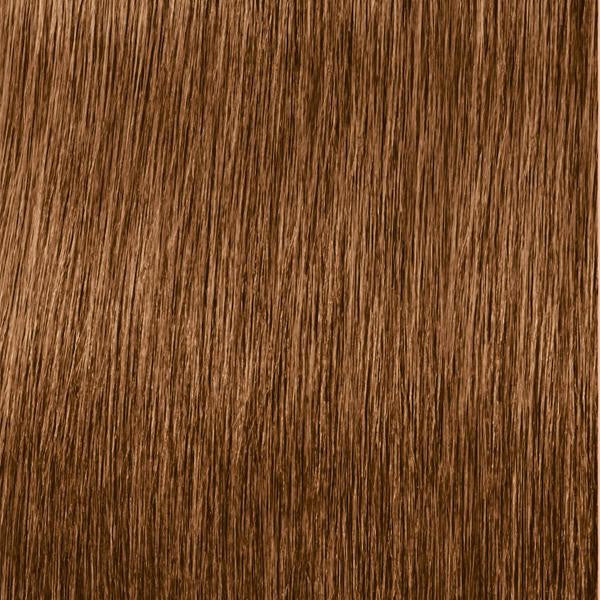 Igora 7-60 Zero Ammonia Permanent Hair Color