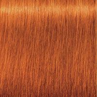 Igora 7-77 Zero Ammonia Permanent Hair Color