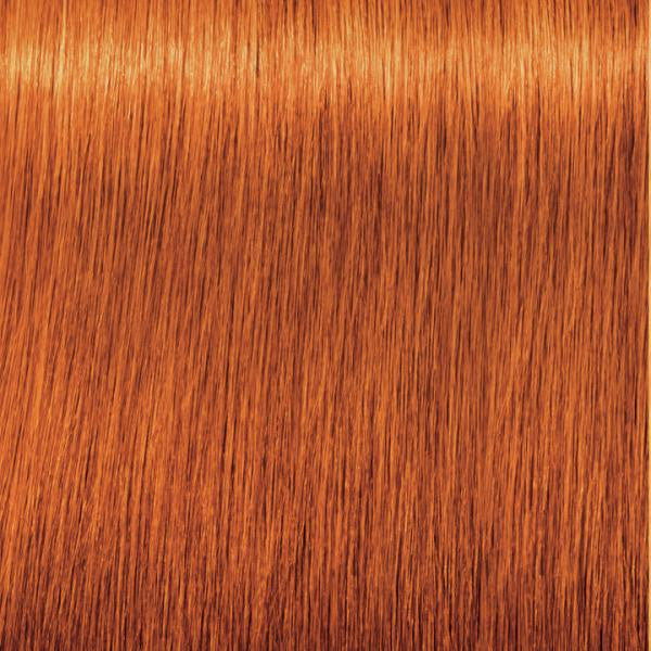 Igora 7-77 Zero Ammonia Permanent Hair Color