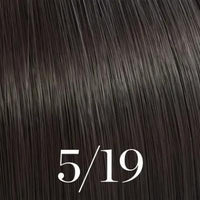 Color touch 5/19 Hair color