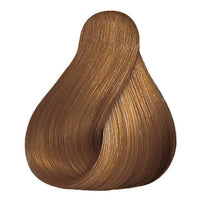 Color touch 8/73 Hair Color