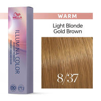 Illumina Hair Color 8/37 Light Gold Brown Blonde